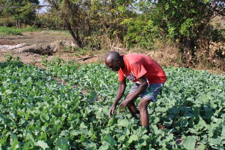 Transforming Lives with Savings and Gardens