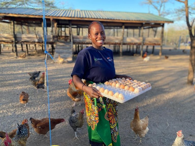 From uncertainty to opportunity