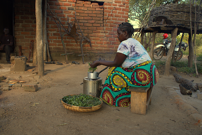 Saving Trees, Sustaining Families