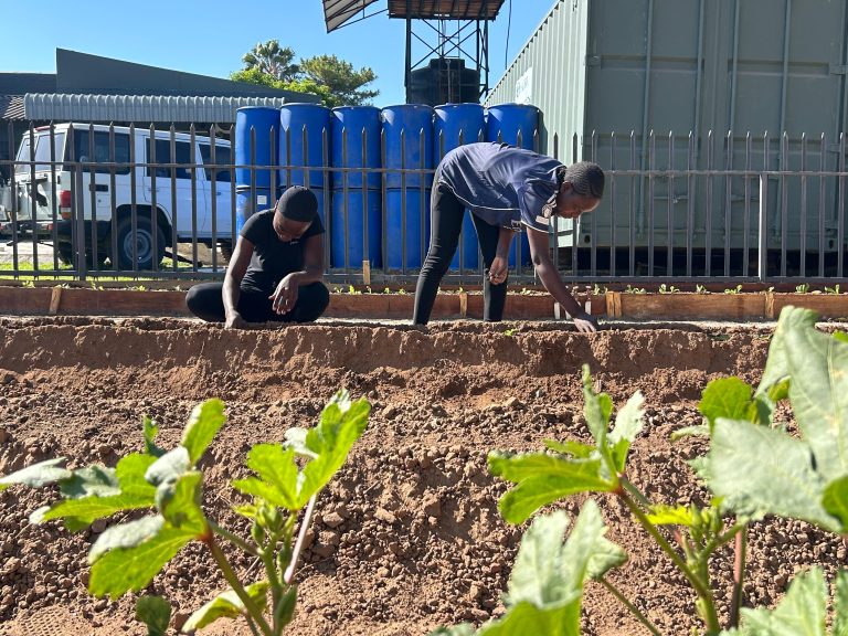 ADRA Zambia Advances Food Security Through the Food Sovereignty Initiative for Africa (FSI)
